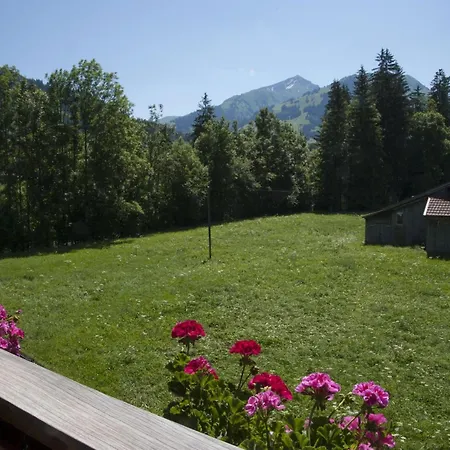 Steimandli By Interhome Apartment Gstaad