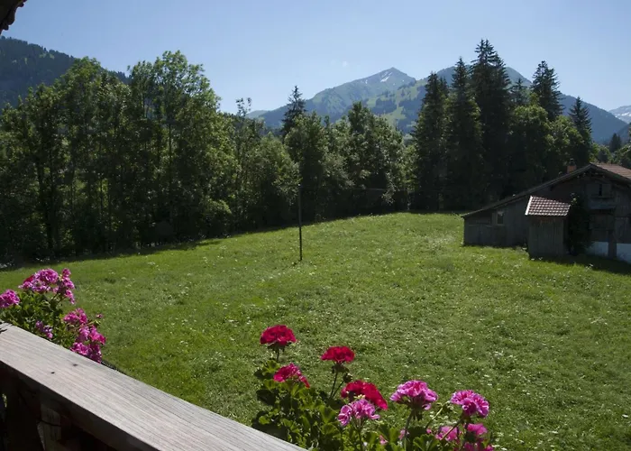 Steimandli By Interhome Lejlighed Gstaad